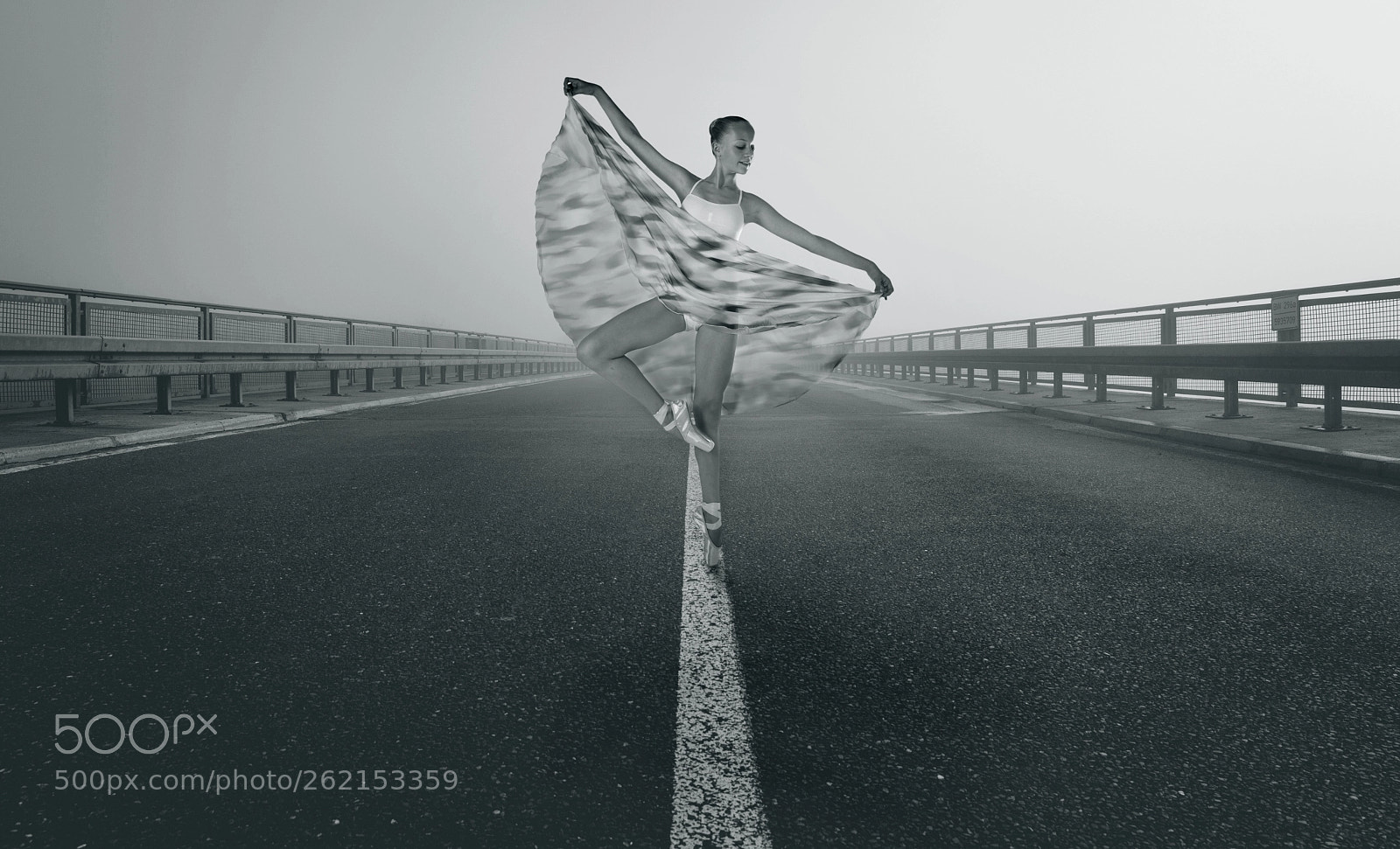 Canon EOS-1D Mark IV sample photo. Road to success photography