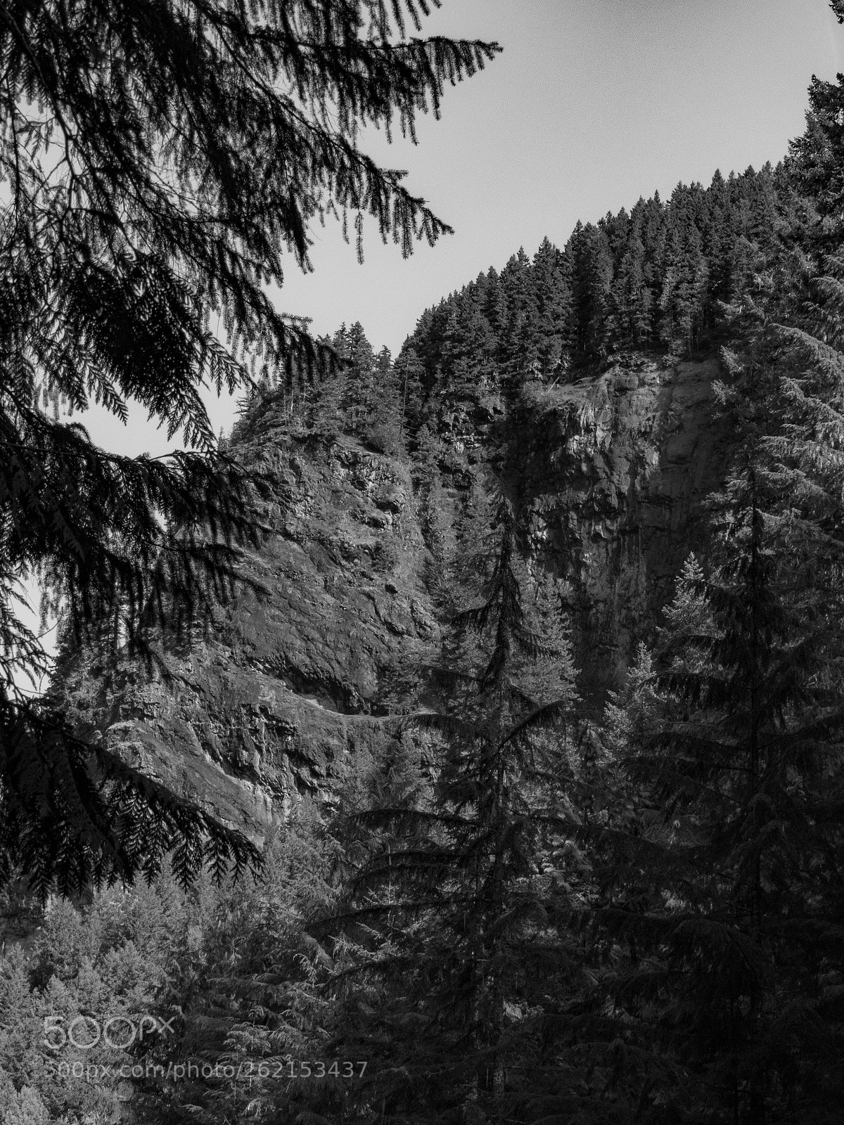 Nikon Coolpix B700 sample photo. Mtrainier photography