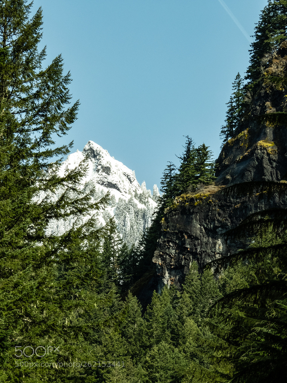 Nikon Coolpix B700 sample photo. Mtrainier photography