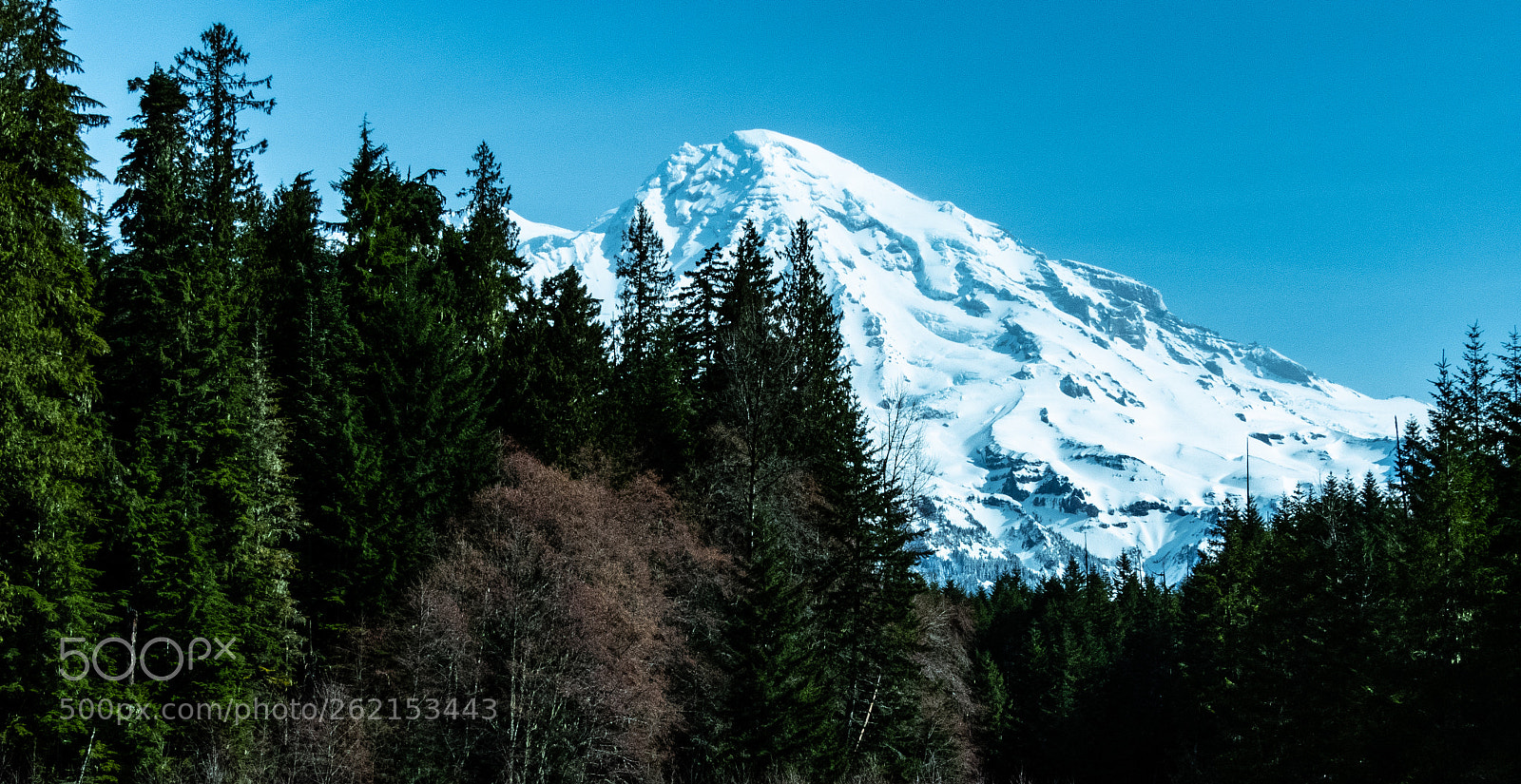 Nikon Coolpix B700 sample photo. Mtrainier photography