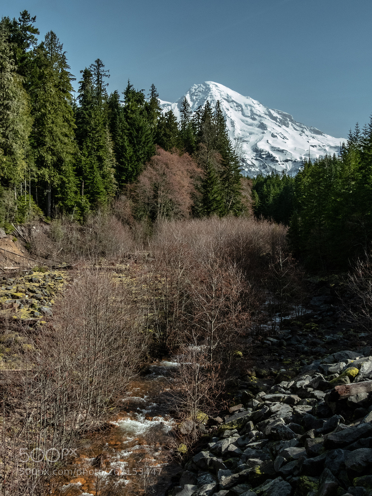 Nikon Coolpix B700 sample photo. Mtrainier photography