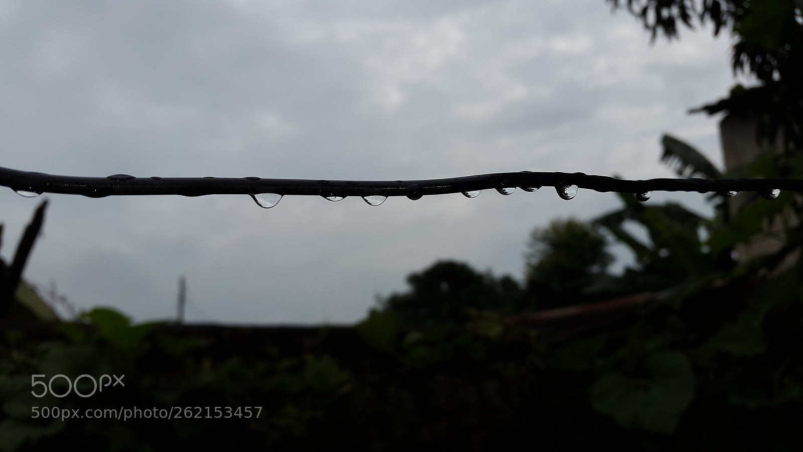 Samsung Galaxy S5 sample photo. 20160817_102002.jpg photography