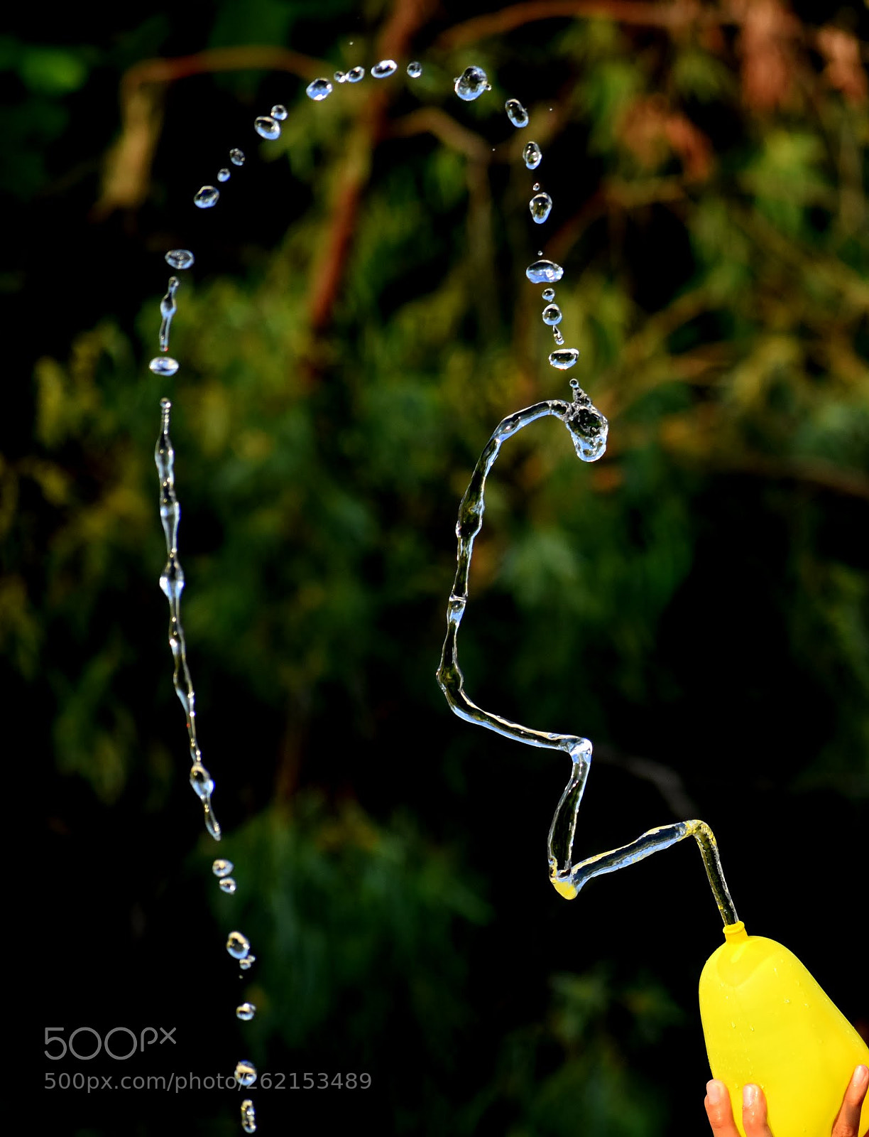 Nikon D7200 sample photo. Untitled photography