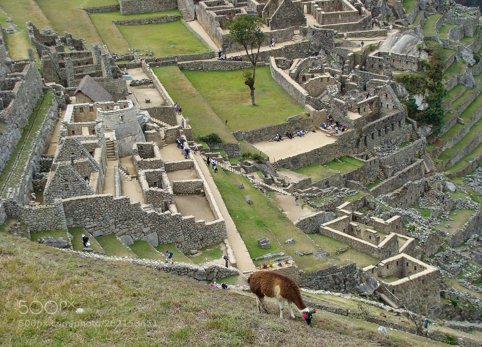 Sony DSC-H3 sample photo. Machu picchu, peru photography