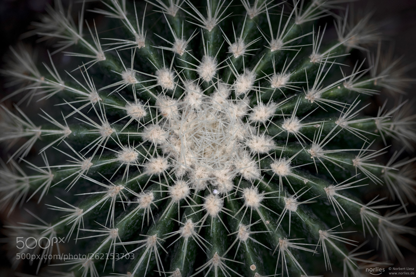 Nikon D850 sample photo. Geometric photography