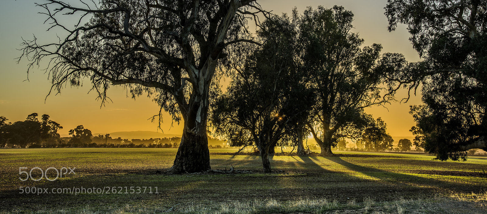 Nikon D810 sample photo. Sunrise near melrose, south photography