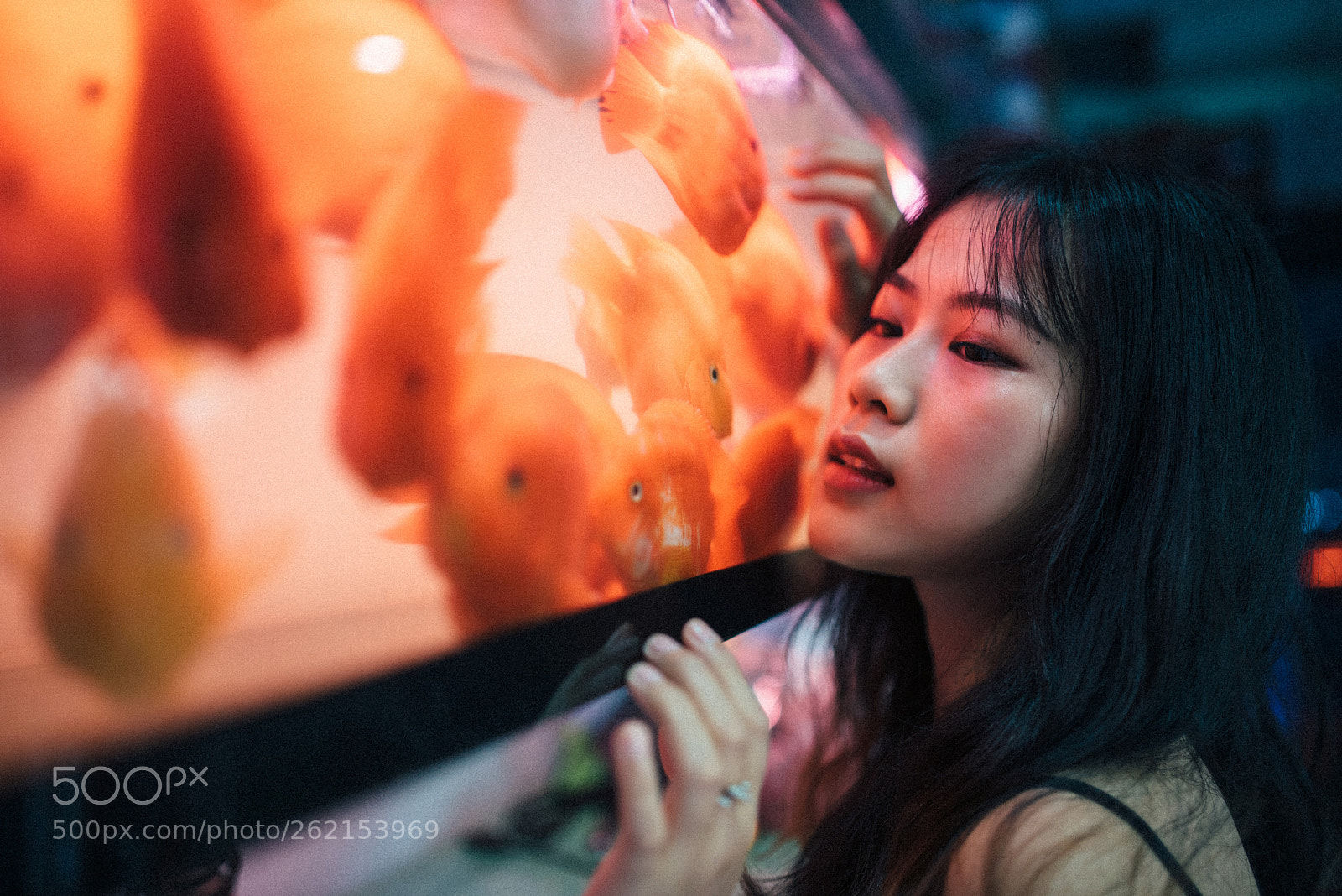 Nikon D750 sample photo. Cá photography