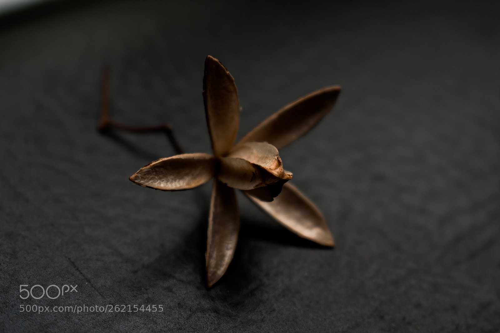 Nikon D3400 sample photo. Untitled photography
