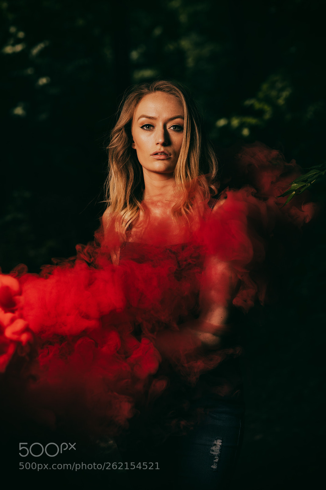 Canon EOS 5D Mark IV sample photo. Seeing red photography