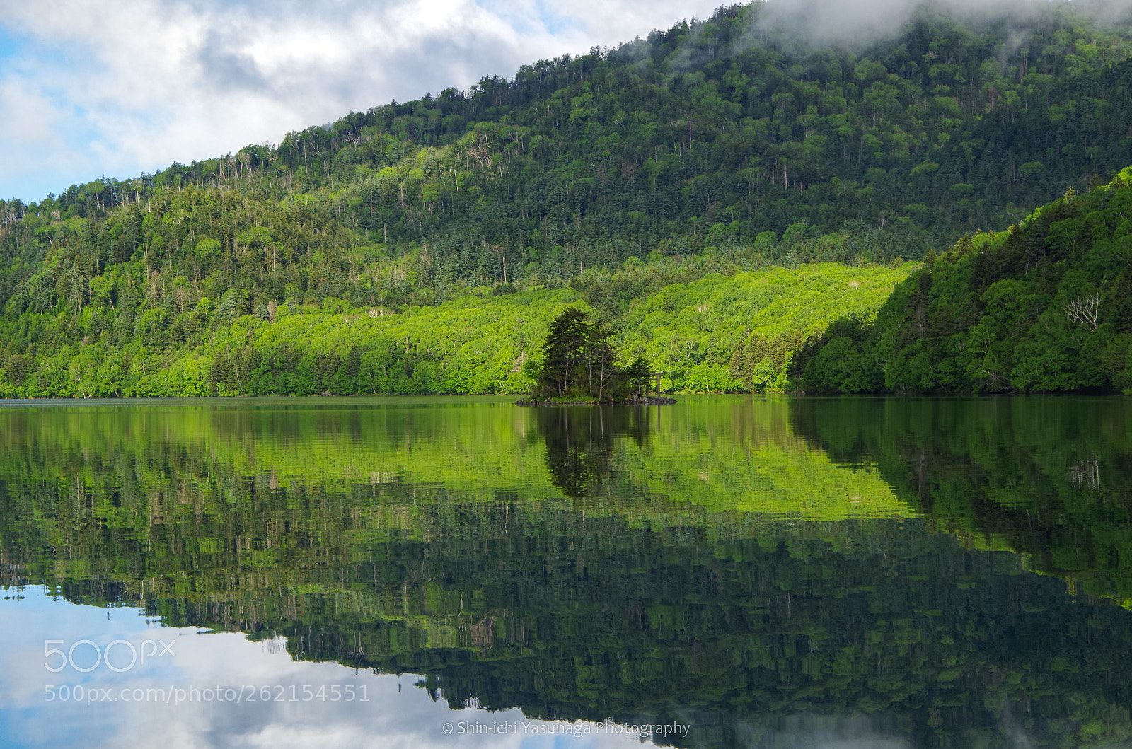 Pentax K-30 sample photo. Reflection in the forest photography