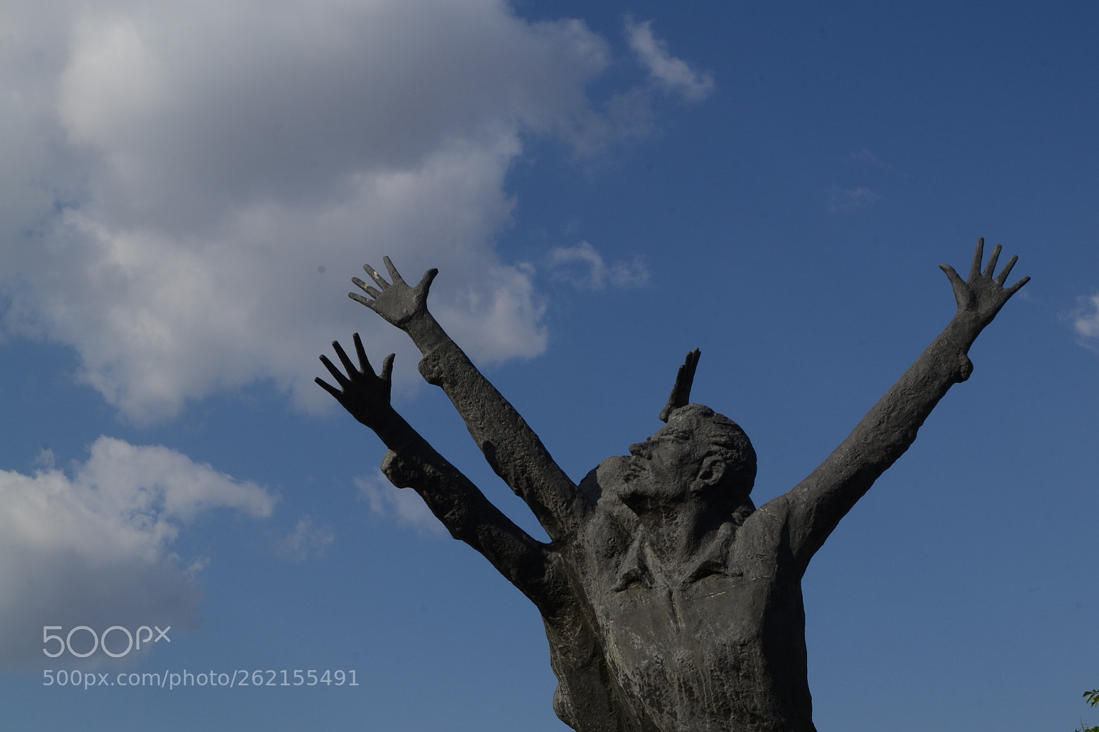 Nikon D3100 sample photo. Untitled photography