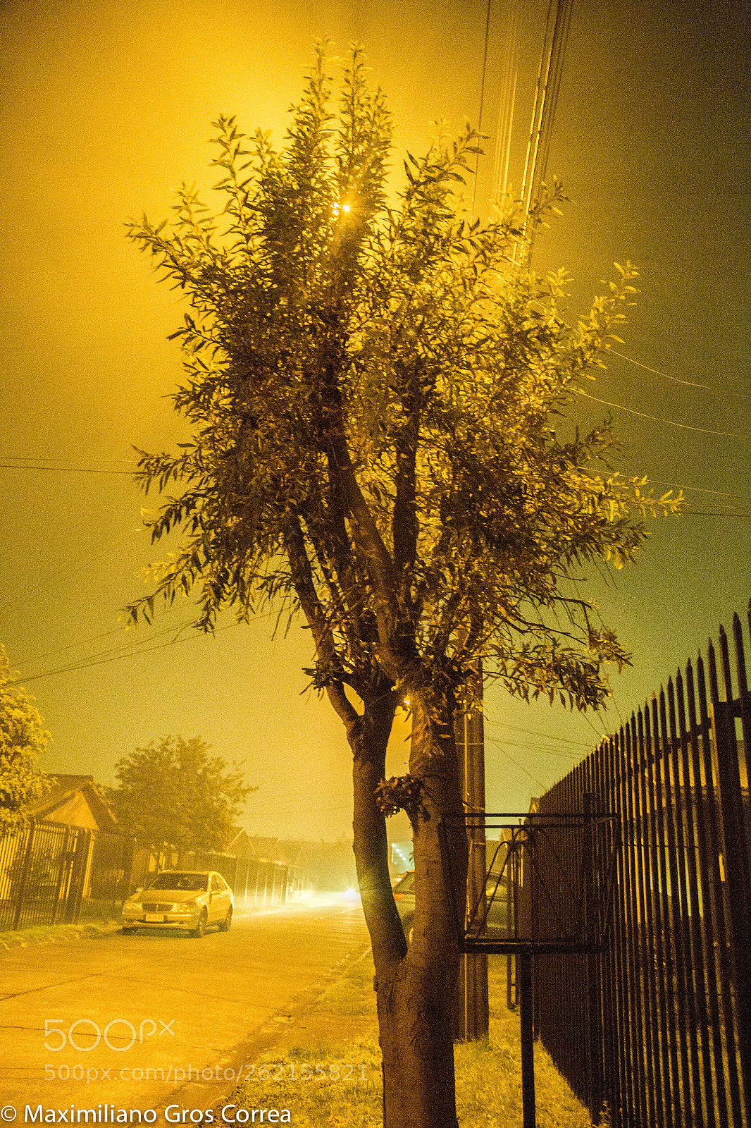 Canon EOS 6D sample photo. Webiando (de ) photography