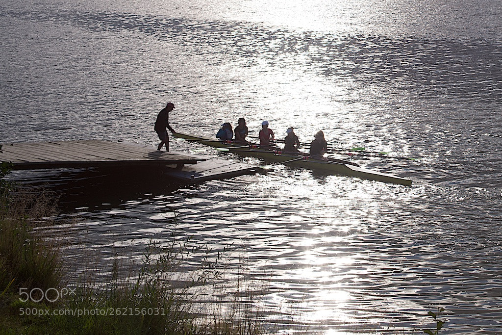 Nikon D600 sample photo. Rowers photography