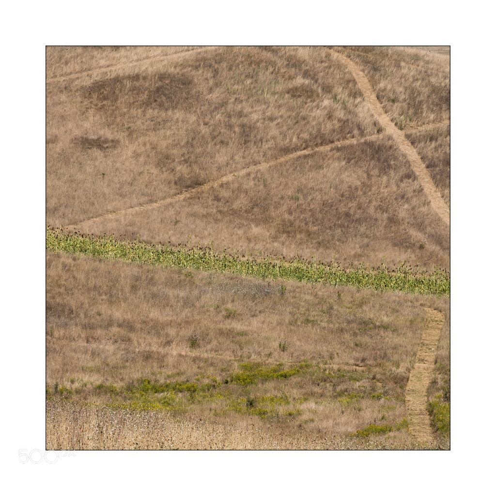 Pentax K-5 sample photo. Ritagli. toscana photography