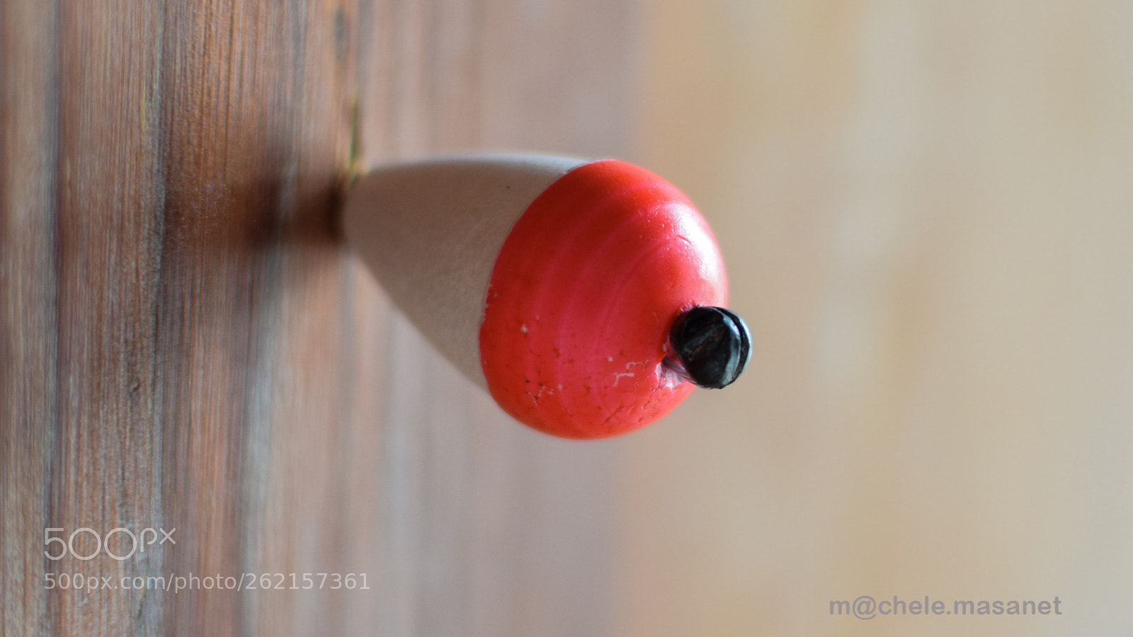 Nikon D5300 sample photo. A buoy on the photography