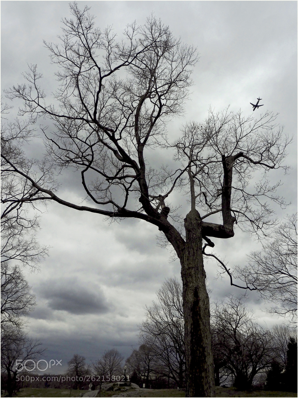 Olympus PEN-F sample photo. Flight path photography