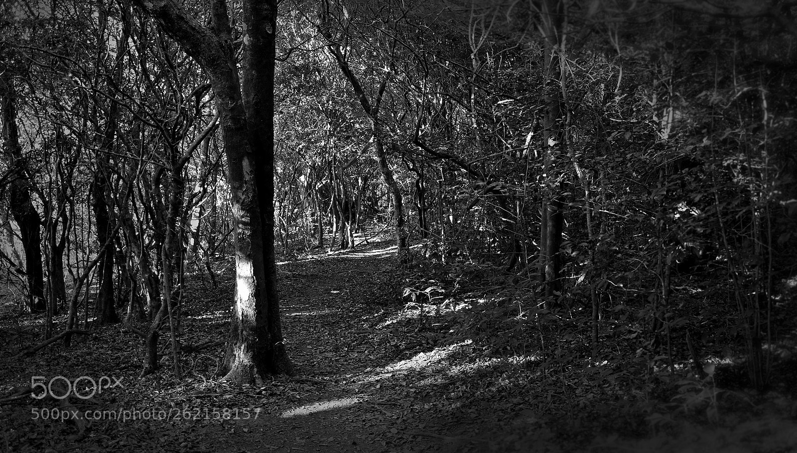 Nikon D90 sample photo. Riverton tour photography