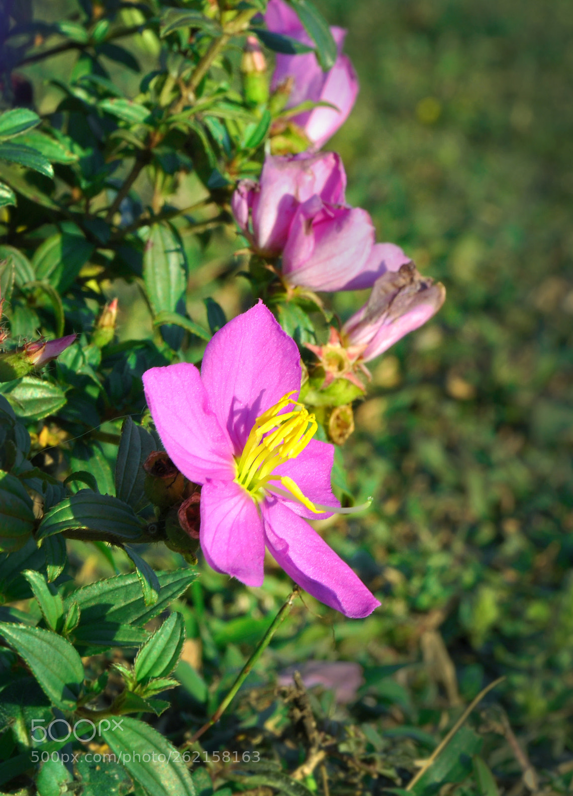 Nikon D90 sample photo. Riverton tour photography