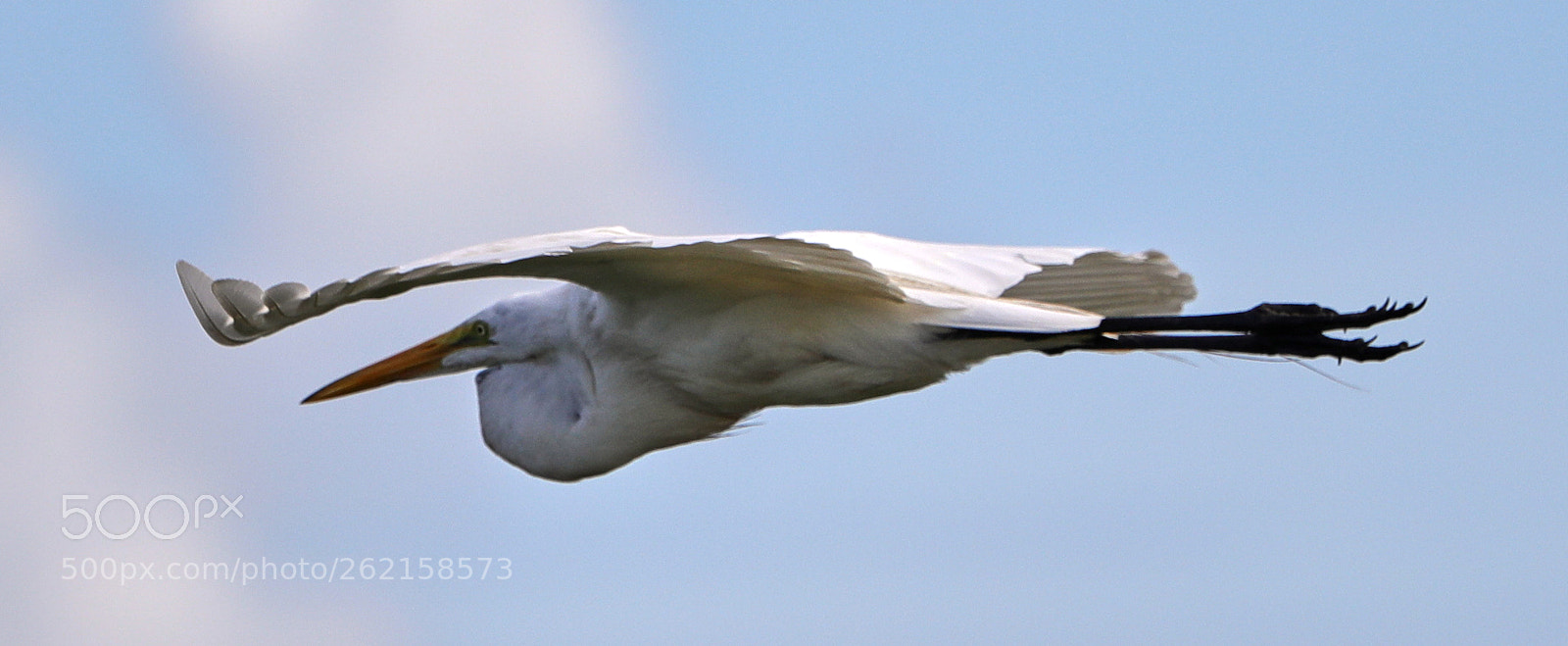 Canon EOS-1D X Mark II sample photo. 06-14-18-0022439.jpg photography