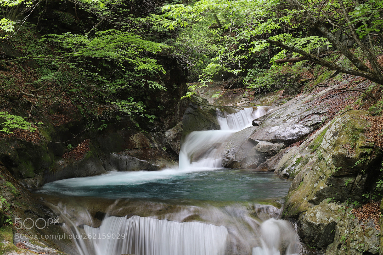 Canon EOS 6D Mark II sample photo. Untitled photography