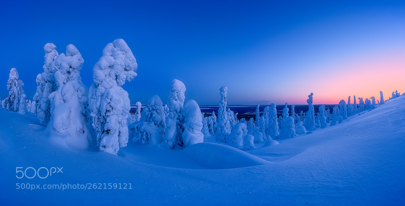 Nikon D810 sample photo. Riisitunturi blue hour photography