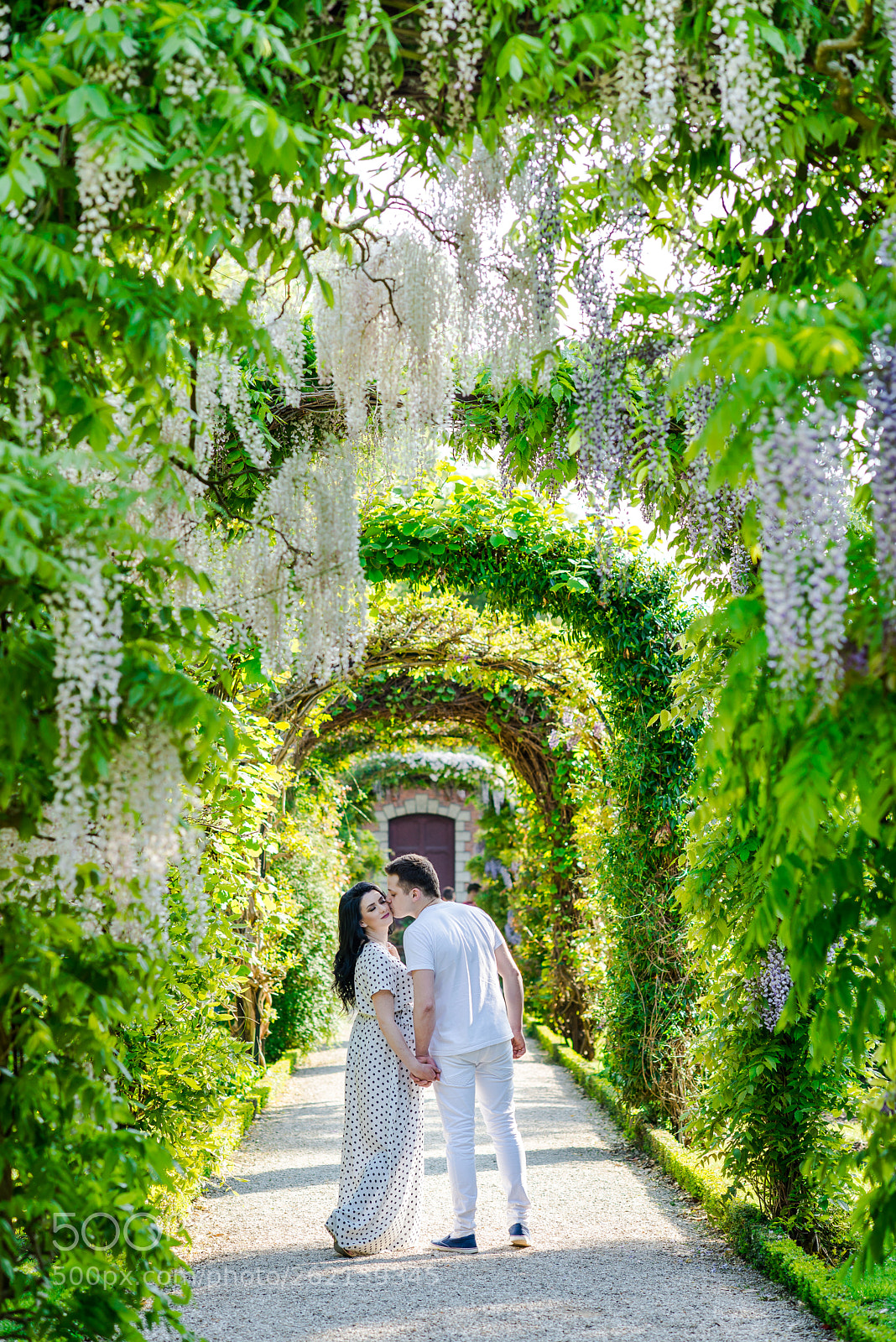 Nikon D610 sample photo. Garden story photography