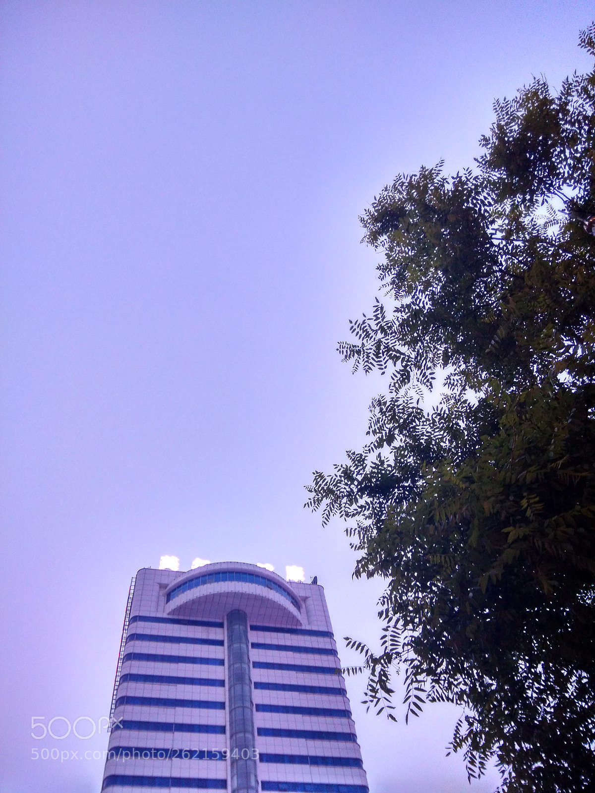 Xiaomi MI3 sample photo. Untitled photography