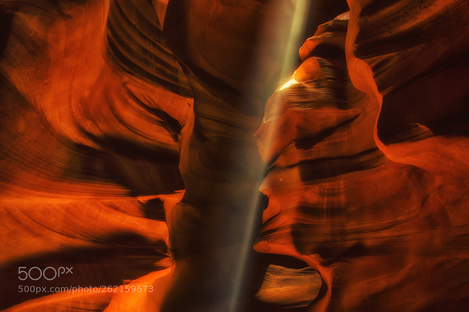 Nikon D7100 sample photo. Light my way photography