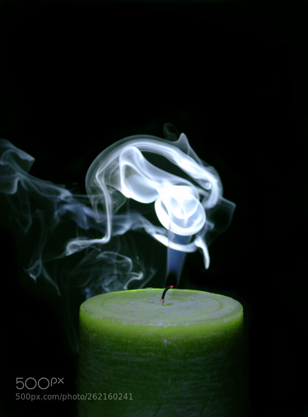 Nikon D3100 sample photo. Smooth criminal photography