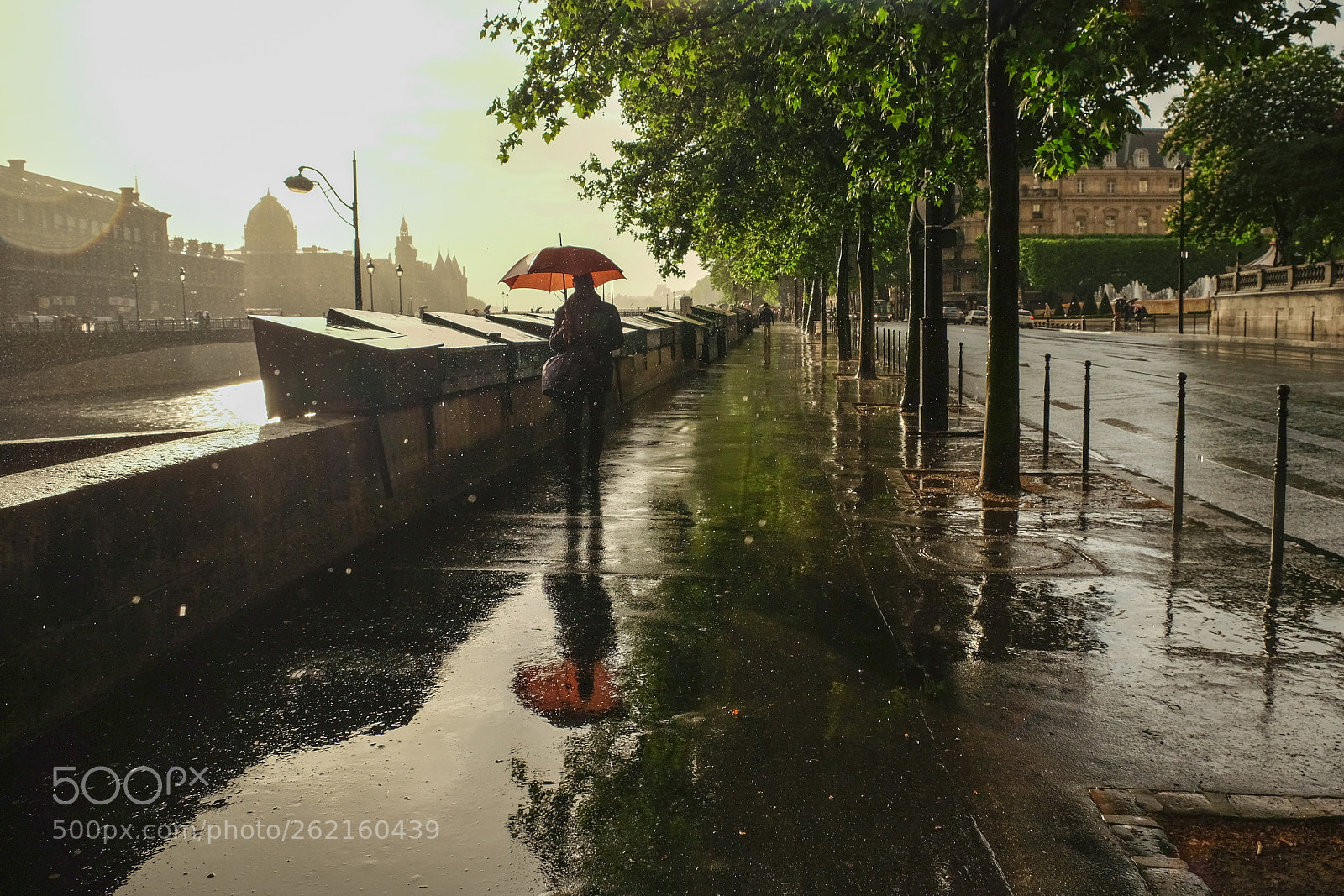Fujifilm X-E2 sample photo. Golden rain photography