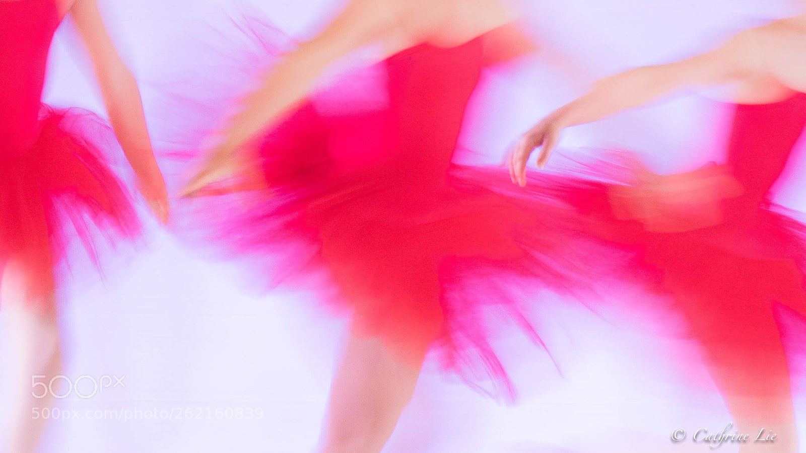 Nikon D810 sample photo. Ballerinas in line photography