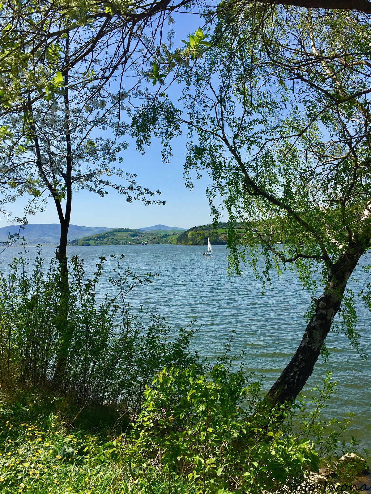 Apple iPhone 6 sample photo. 776766.jpg photography