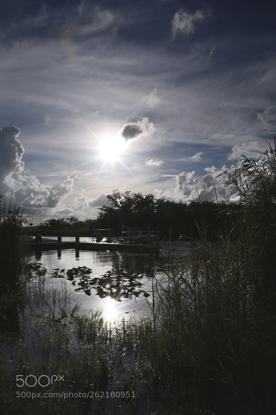 Canon EOS 5D Mark IV sample photo. Florida everglades photography