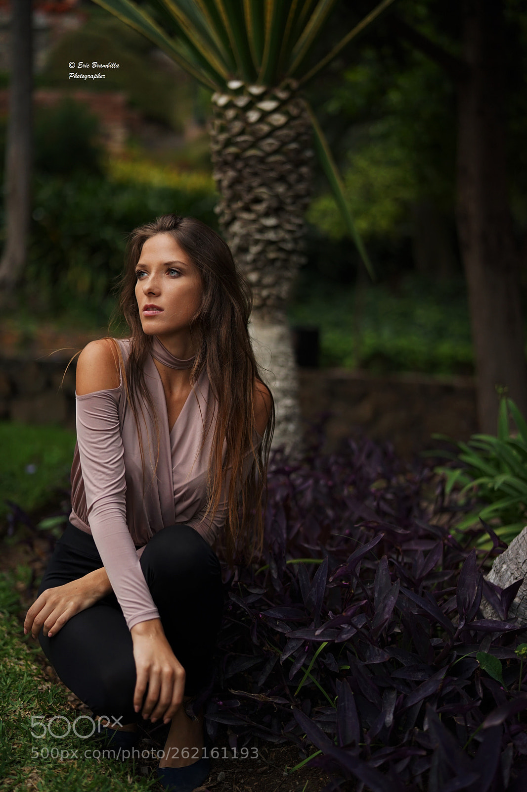 Sony a7 II + Sony Planar T* FE 50mm F1.4 ZA sample photo. Natural ligbt photography