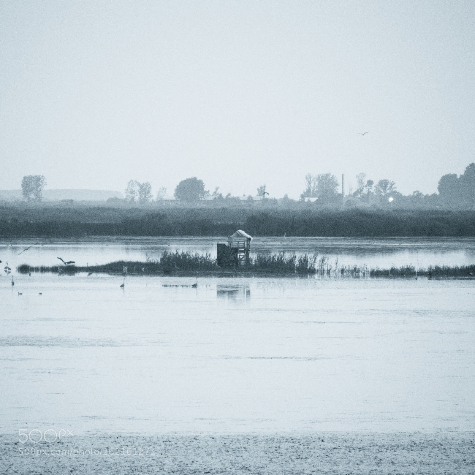 Olympus PEN E-PL6 sample photo. Water photography