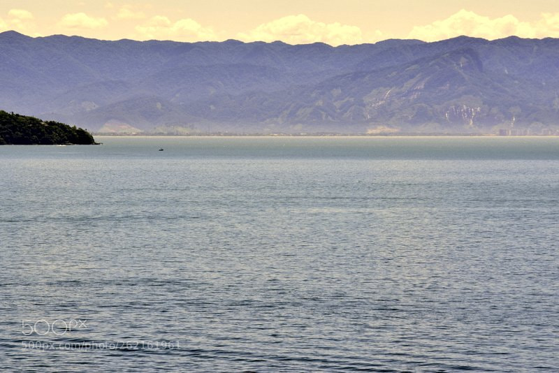 Nikon D5300 sample photo. Dsc photography