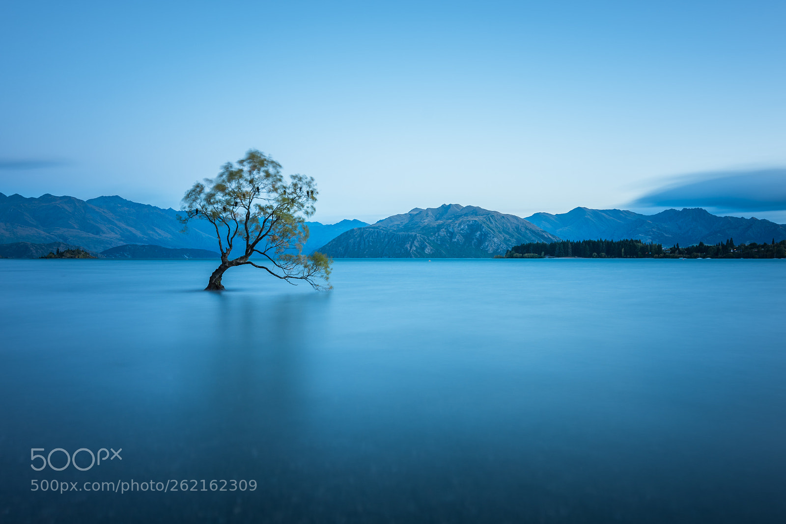 Nikon D810 sample photo. Blue photography