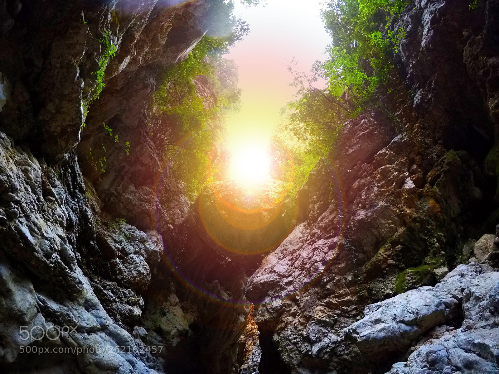 GoPro Hero5 Black sample photo. Light is life photography