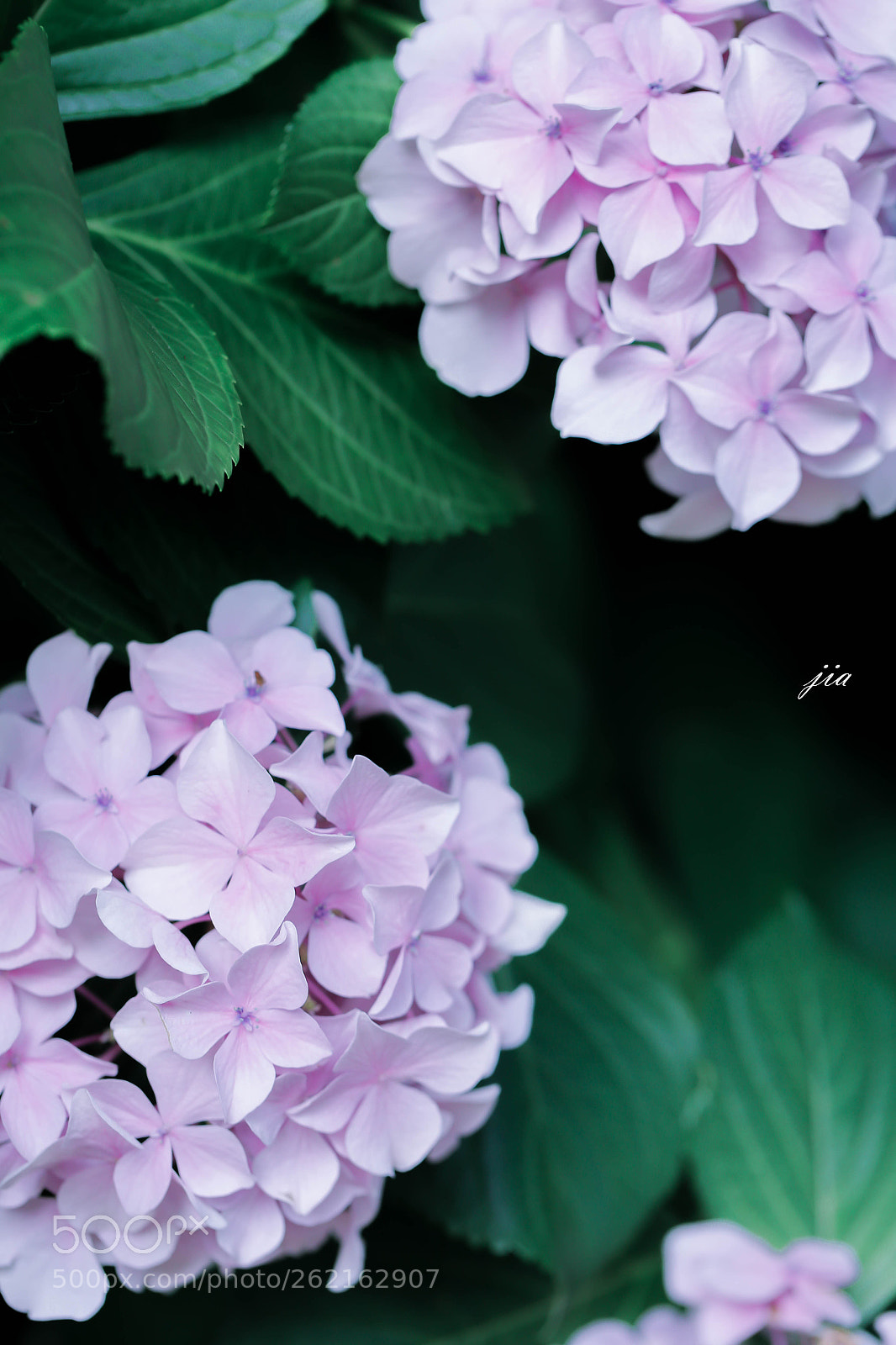 Canon EOS 6D sample photo. Untitled photography