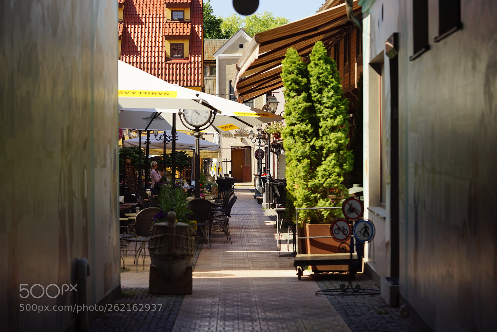 Sony a7R sample photo. Dsc photography