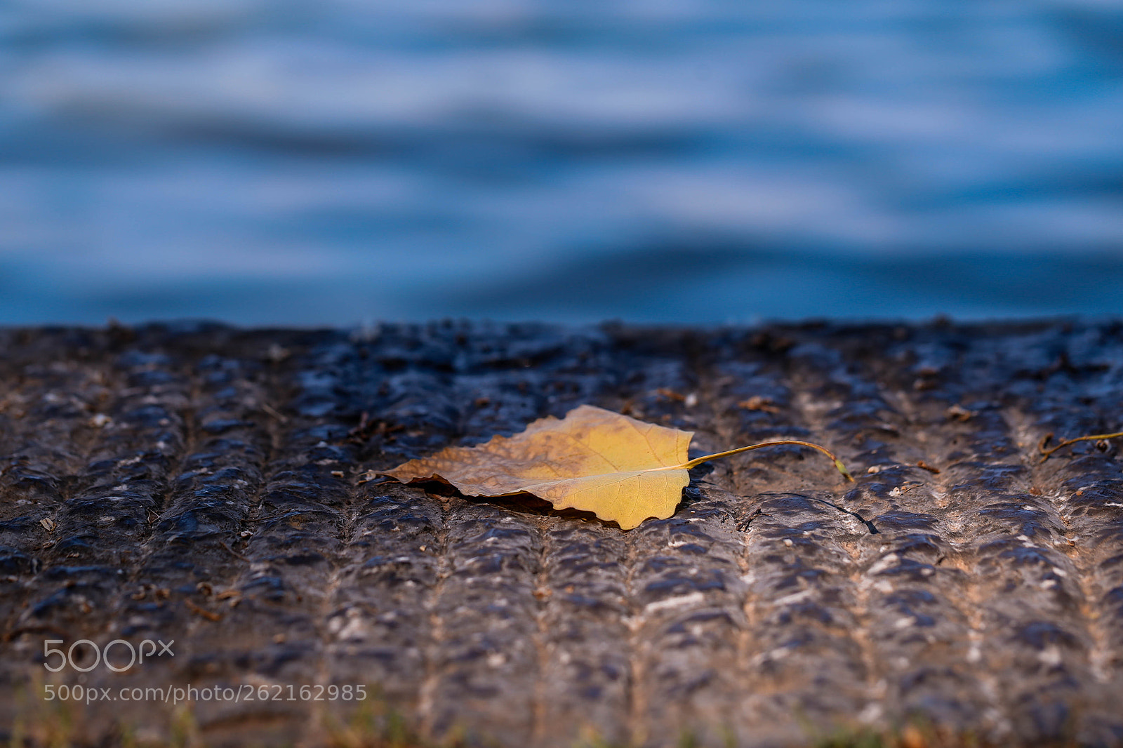 Canon EOS 6D sample photo. Untitled photography