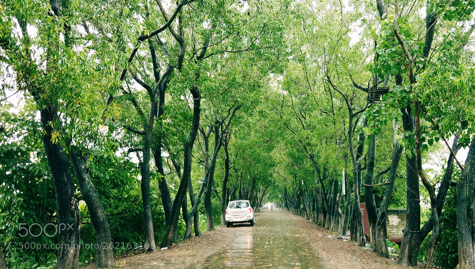 vivo 1716 sample photo. Untitled photography