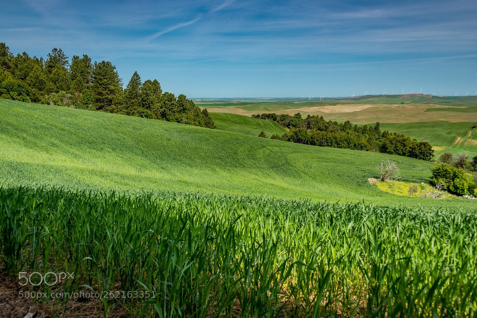 Nikon D850 sample photo. _8505148-1.jpg photography