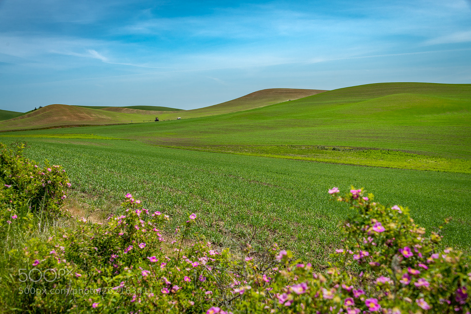 Nikon D850 sample photo. _8505199-1.jpg photography