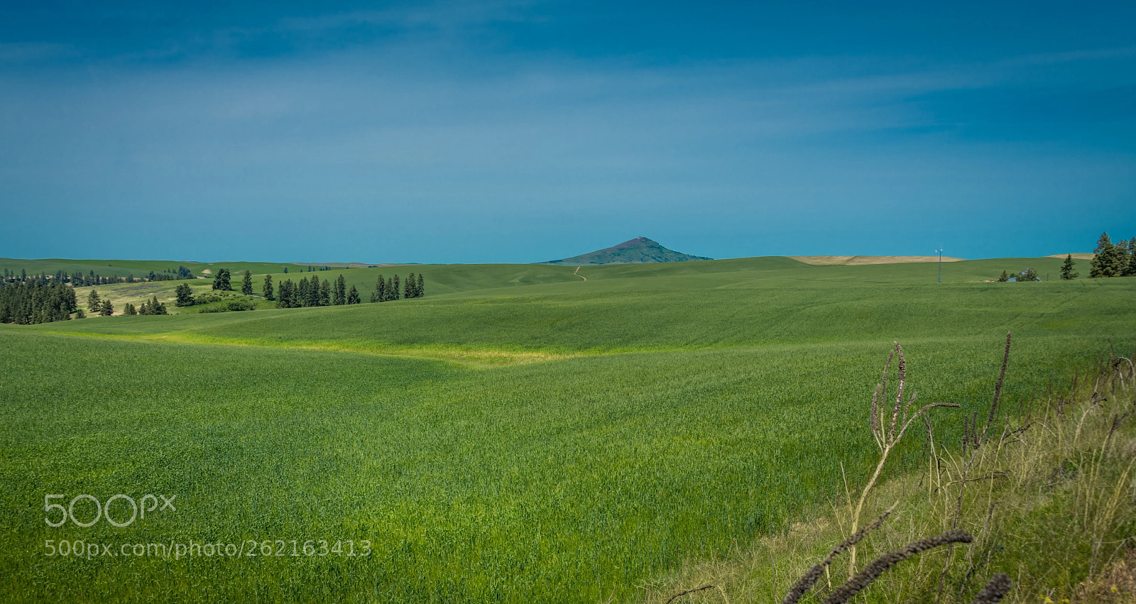 Nikon D850 sample photo. Edit photography