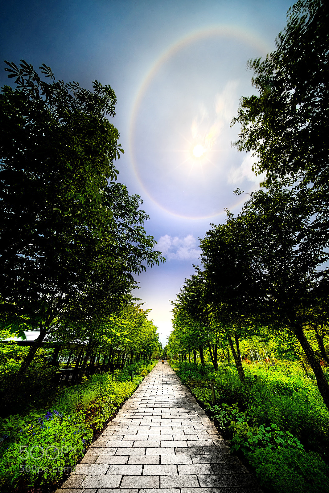Sony a7R III sample photo. Here comes the sun photography