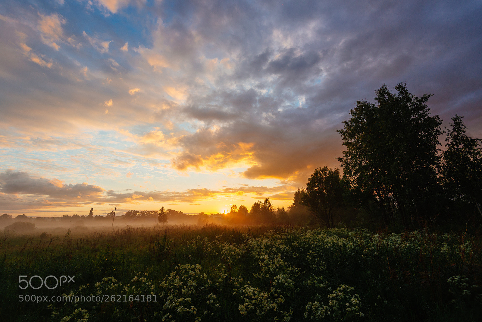 Nikon D600 sample photo. Sunset and fog photography
