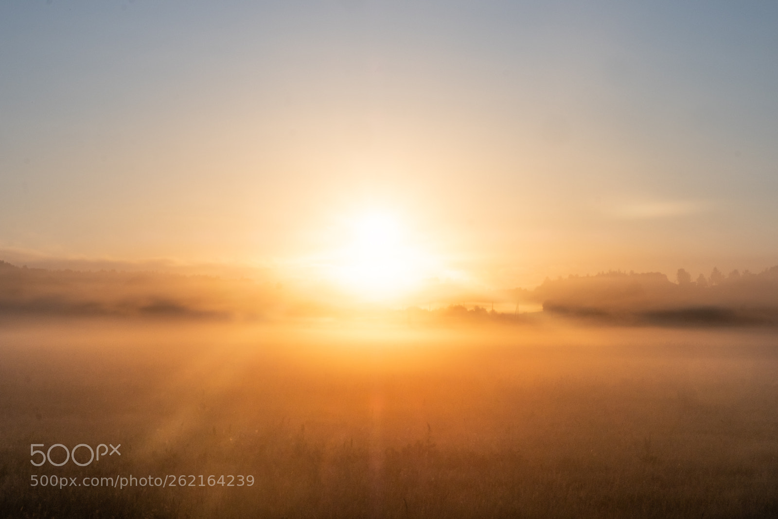 Fujifilm X-T20 sample photo. Foggy sunrise photography