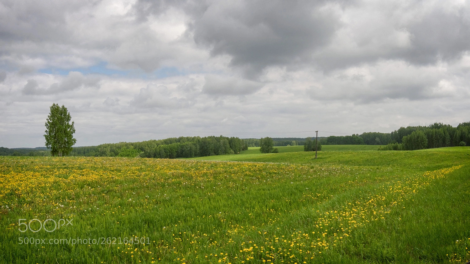 Nikon Coolpix P7700 sample photo. Landscape [683] photography