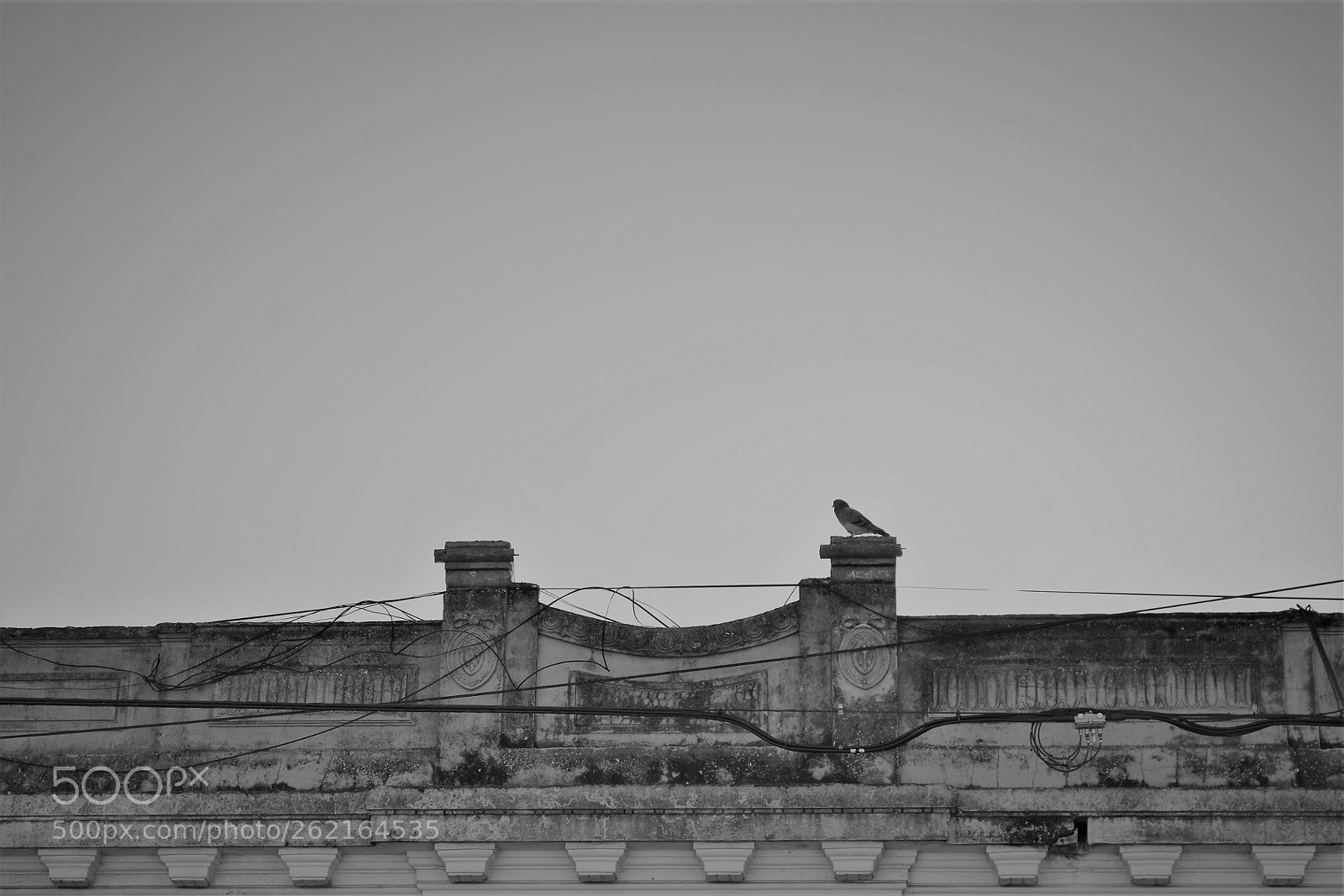 Nikon D3100 sample photo. Untitled photography